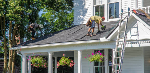 Best Storm Damage Roof Repair  in Bristol, FL